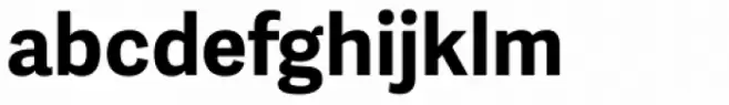 Adelle Sans Bold