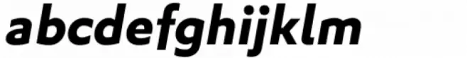 Algera  Italic Variable