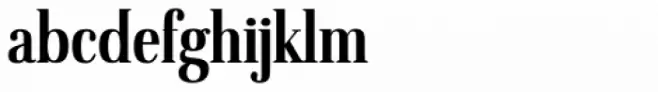 American Oak Serif