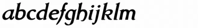 Amitale Book Bold Italic
