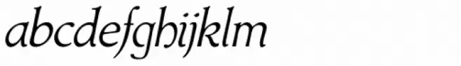 Amitale Book Italic