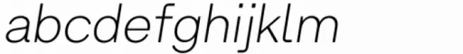 Armin Soft Thin Italic