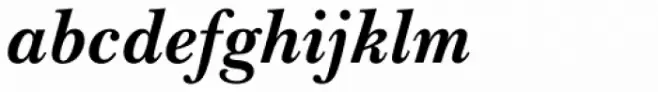 Baskerville Handcut Bold Italic