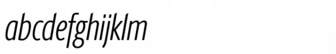 Berlingske Sans Extracondensed Std Light Italic
