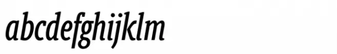 Berlingske Slab ExtraCondensed Std Medium Italic