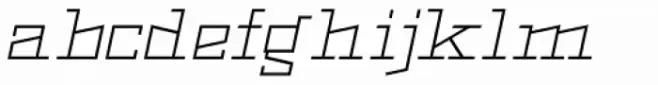 Black Bear Light Italic