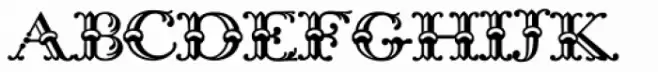 Bodoni Classic Bambus Initials