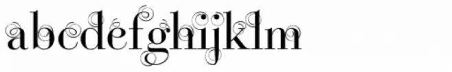 Bodoni Classic Swirls Roman