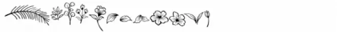 Bomanda Signature Element