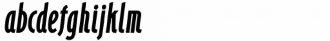Bougainville Neo Heavy Italic