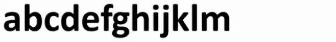 Calibri Bold