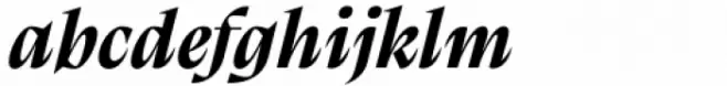 Calvino Grande Bold Italic
