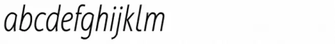 Cambridge Light Cond Italic
