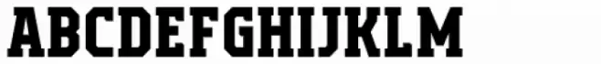 Campione Neue Serif Bold