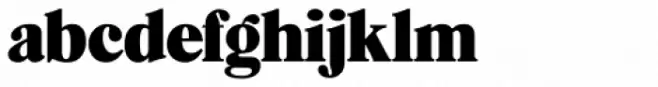 Caslon Black SH Regular