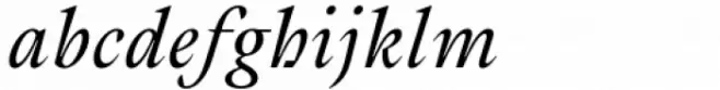 Cassius Regular Italic