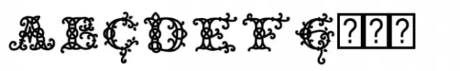Celtic Monograms Back