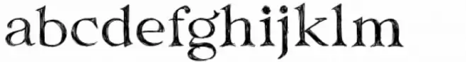 Clarins Serif