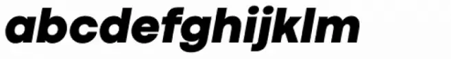 Codec Pro Heavy Italic
