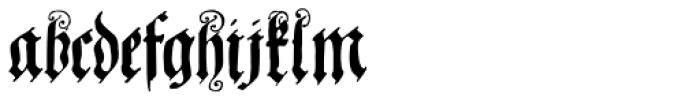 Coelnische Current Pro