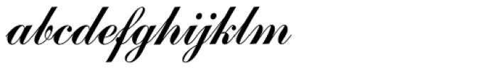 Commercial Script SB Reg