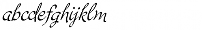 Cruz Script Calligraphic Pro