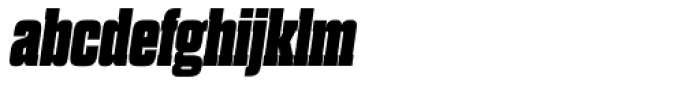 Dharma Slab Expanded Heavy Italic