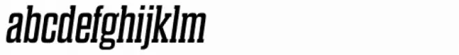 Dharma Slab Expanded Italic