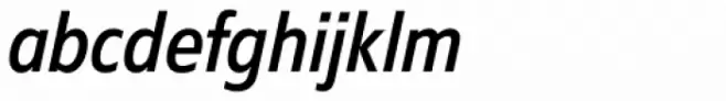 Diamanti Condensed EF Book Italic