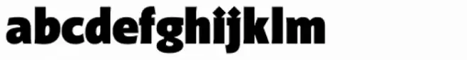 Distefano Sans Black