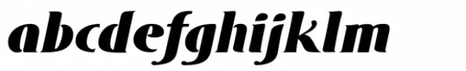 DT Skiart Serif Leaf Black Italic