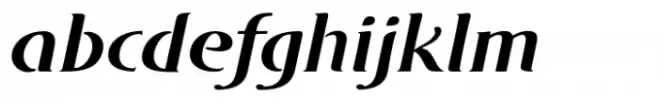 DT Skiart Serif Leaf Less Bold Italic