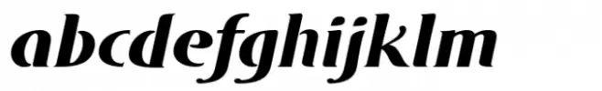 DT Skiart Serif Leaf More Bold Italic