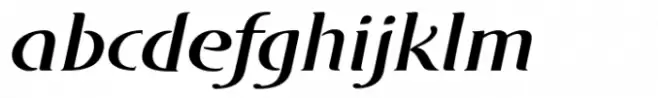 DT Skiart Serif Leaf More Medium Italic
