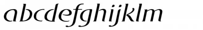 DT Skiart Serif Leaf Norm Italic
