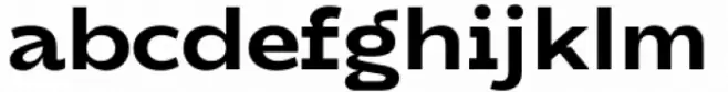 DX Rigraf Bold Expanded