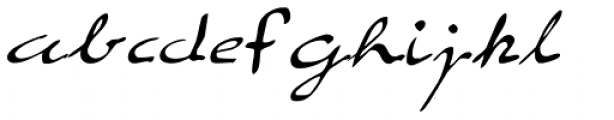 Elegant Hand Script