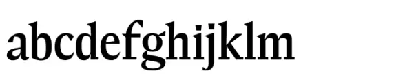 Elvira Serif Regular