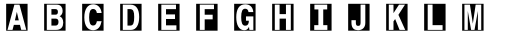 Encercle Sans Oct Bold