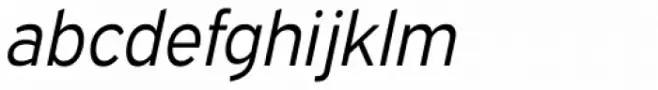 Expressway Book Italic