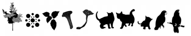 Fenotype Dingbats
