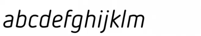 FF Netto Italic
