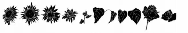 Flower Sketch Neue
