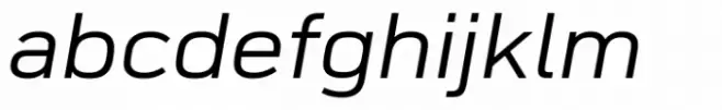 FS Industrie Variable Extended Italic