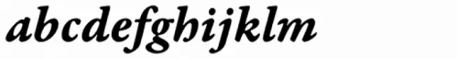 Garamond Premr Pro Caption Bold Italic