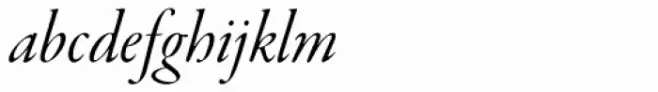 Garamond Premr Pro Display Italic