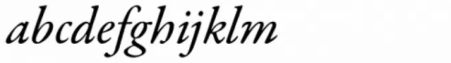 Garamond Premr Pro Med Italic