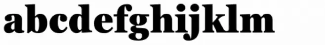Georgia Pro Condensed Black