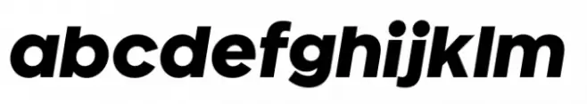 Gianis Black Italic