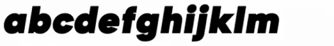 Goldbill XL Heavy Italic